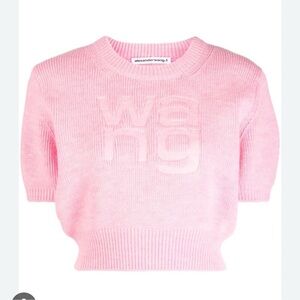 ISO Alexander Wang embossed pink sweater